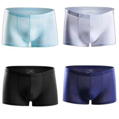 Ice Embrace Transparent Boxer Briefs (4 Pack)