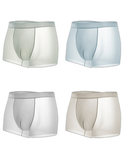 4 Pack Men's Breathable Ice Silk Antibacterial Sports Trunks