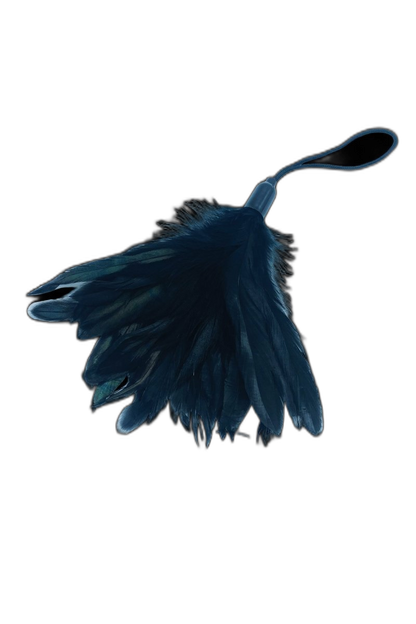 Black Feather Tickler