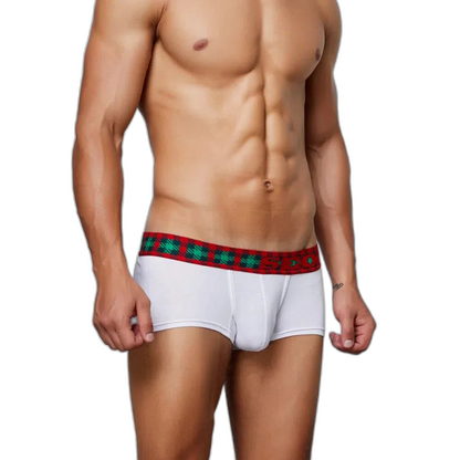 Festive Christmas Tartan Boxer Briefs