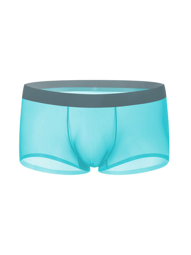Men's Sheer Ice Silk Thin Pouch Boxer Briefs