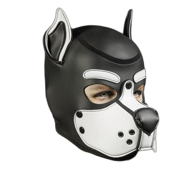 Mr S Leather Neoprene K9 Puppy Hood | Black/White