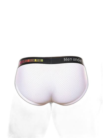 Men's Mesh Briefs With Colorful Spliced Lines