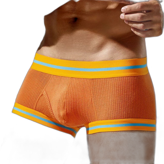 Tauwell Retro Era Boxer Briefs