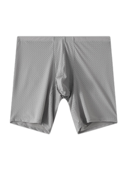 2 Pack Men's Mesh Transparent Sports Fitness Loose Boxer Briefs