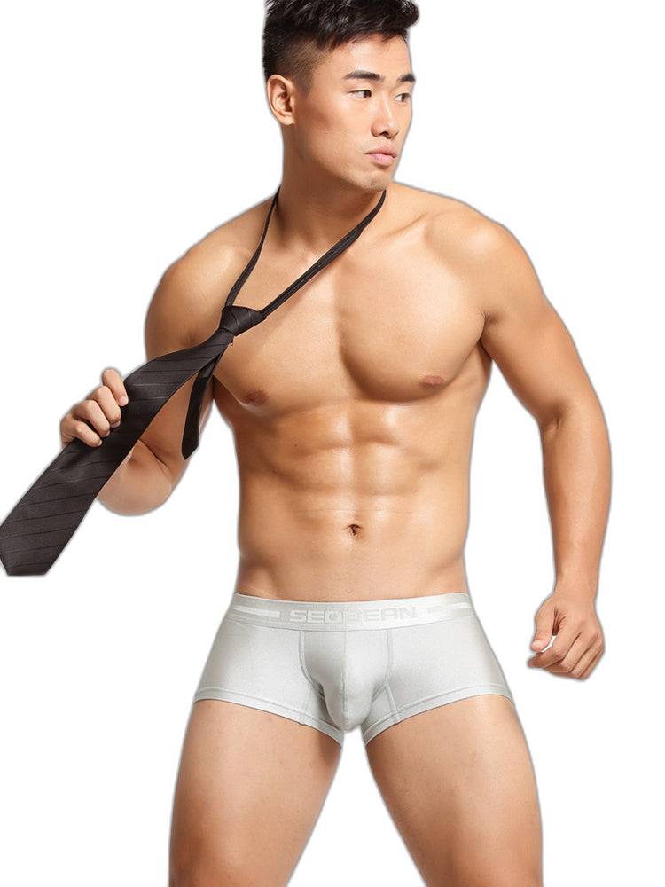 2 Pack Men’s Lustrous Metallic Trunks