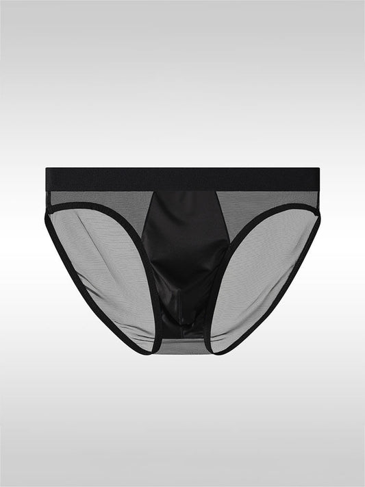 Men's Sexy Sheer Mesh Satin Pouch Briefs