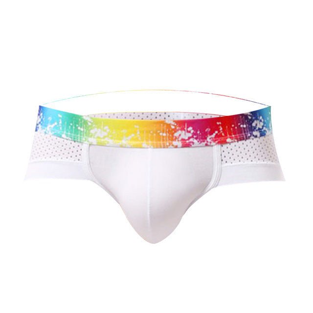 Rainbow Band Mesh Briefs