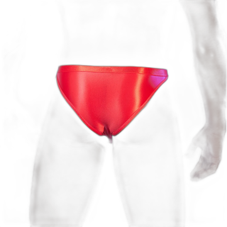 Be The Elephant Sheer Stretch Lingerie