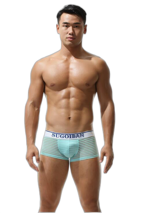 Men's Sexy Transparent Striped Trunks
