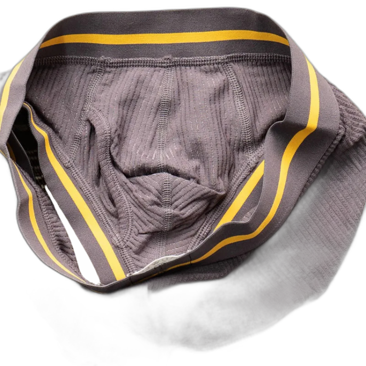 Tauwell Retro Era Boxer Briefs