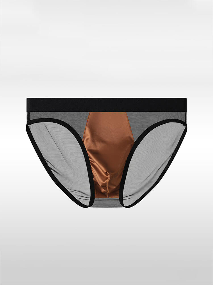 Men's Sexy Sheer Mesh Satin Pouch Briefs