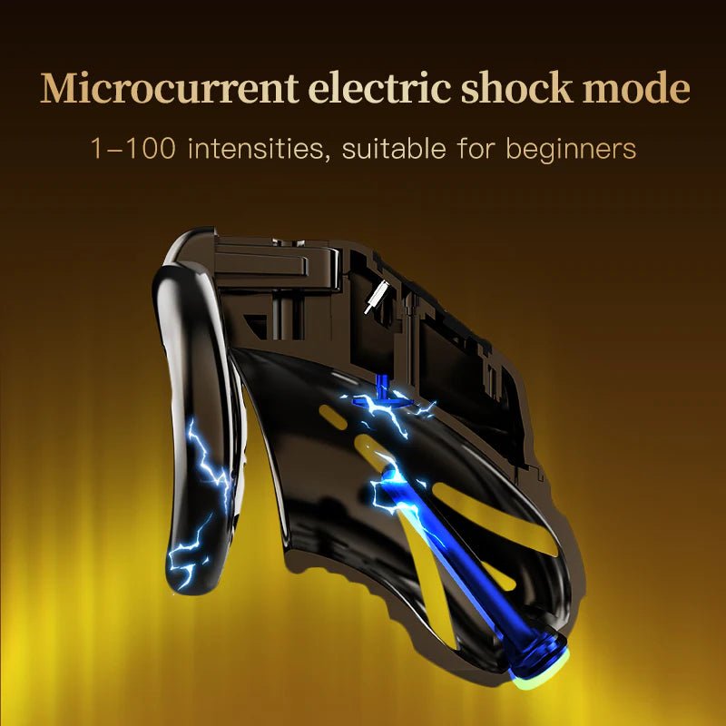 App Controlled Shock Chastity Cage And Key Box Bundle - The Pup Play Hub