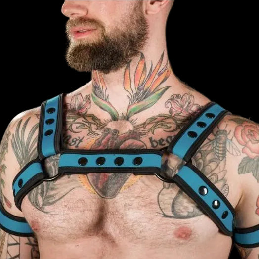 Mr S Leather Neoprene Bulldog Harness | Aqua