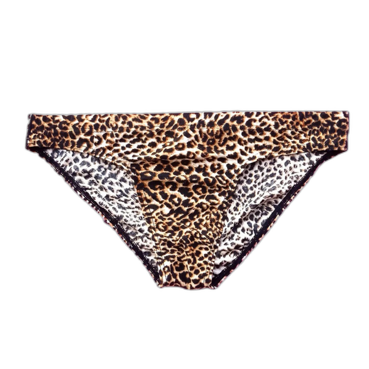 Wild Thoughts Fierce Leopard Men’s Briefs