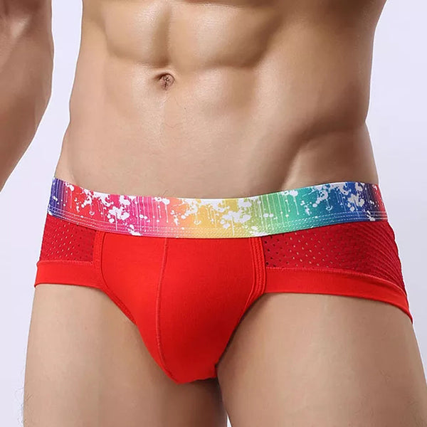 4 Pack Breathable Modal Colored Belt Briefs-rainbow pride underwear