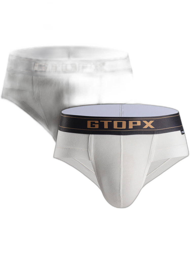 2 Pack Men's Big Support Pouch Modal Briefs