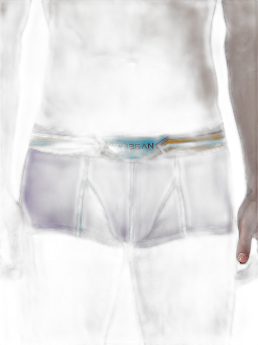 Men's Sport Splicing Lines Trunks
