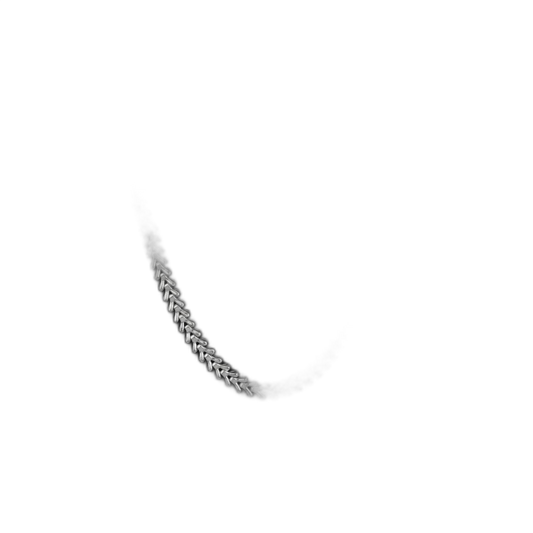 Vertebrae Choker