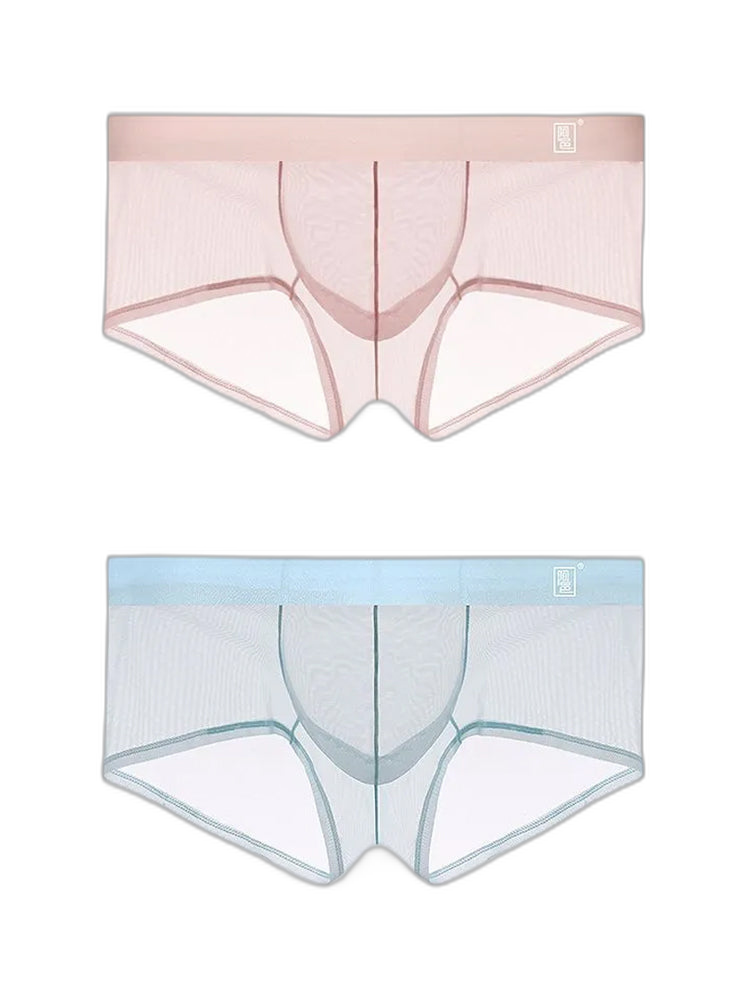 Men's Ultra-thin Low-Rise See-Through Ice Silk Briefs