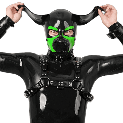 Furrjoi Silicone Beagle Hood Lime Green