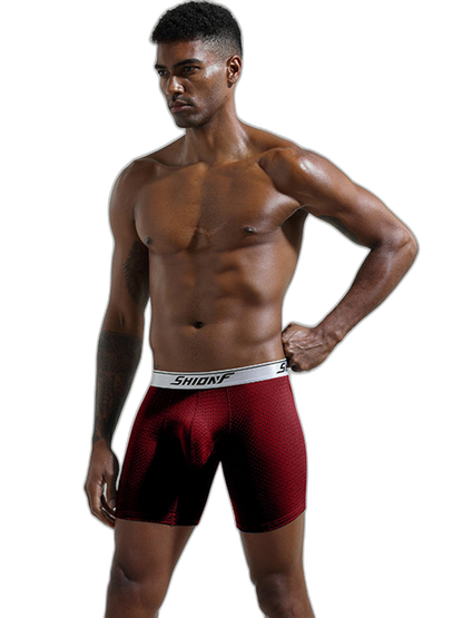 2 Pack Men’s Mesh Separate Pouch Boxers Briefs
