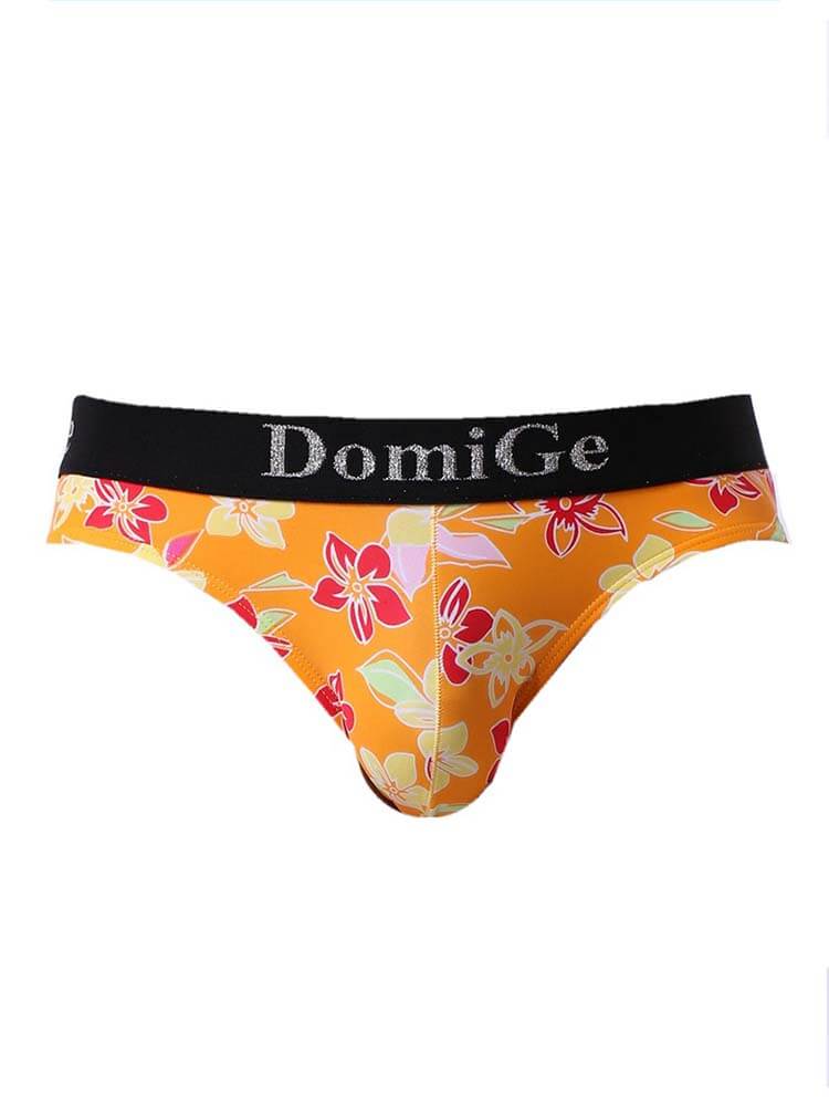 Men's Sexy Personalized Printed Ice Silk Briefs