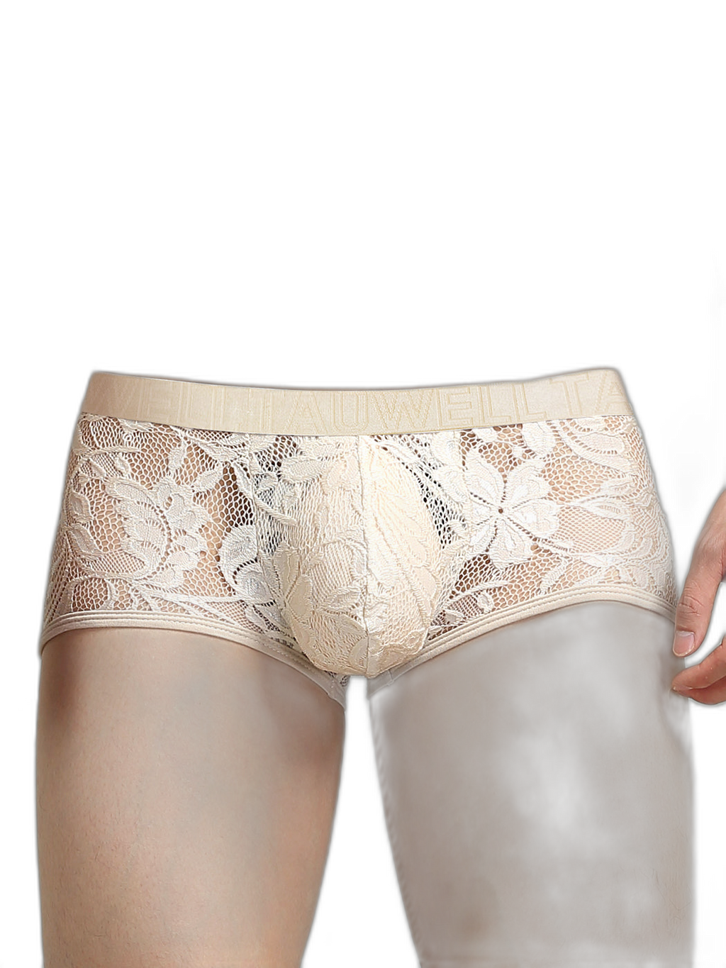Men's Sexy Lace Semi-Sheer Trunks