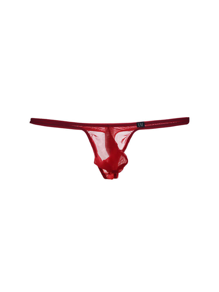 Men's Sheer Mesh Low-Rise U-Pouch Thong