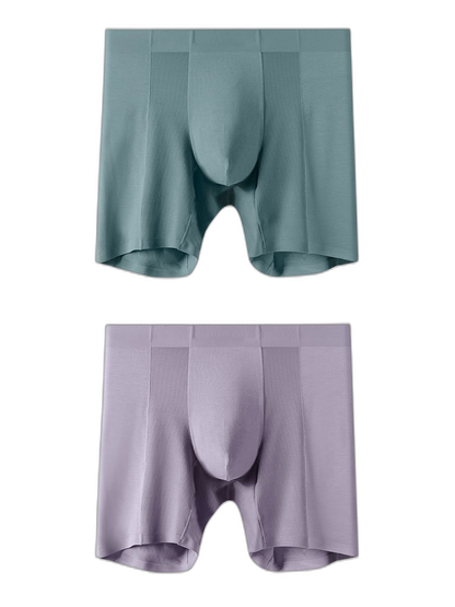 2 Pack Men’s Long Athletic Boxer Briefs