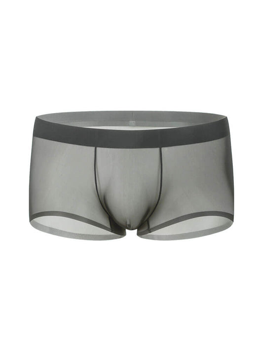 Men's Sheer Ice Silk Thin Pouch Boxer Briefs