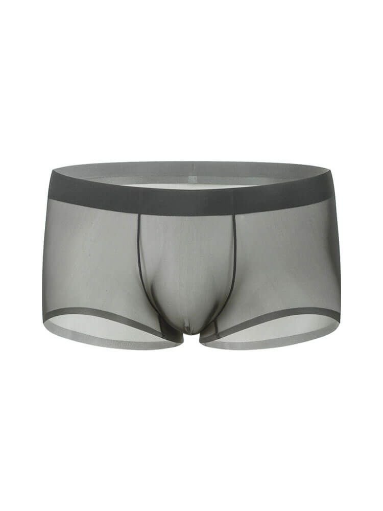 Men's Sheer Ice Silk Thin Pouch Boxer Briefs