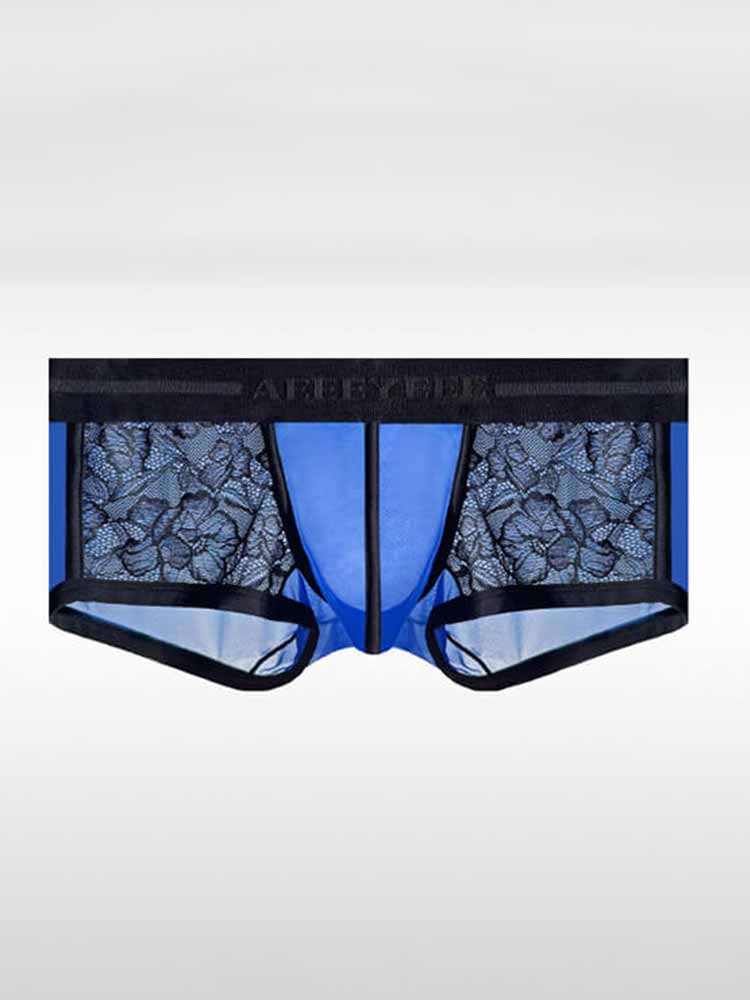 Men's Ice Silk Lace Sexy Sheer Ultra-Thin Trunks
