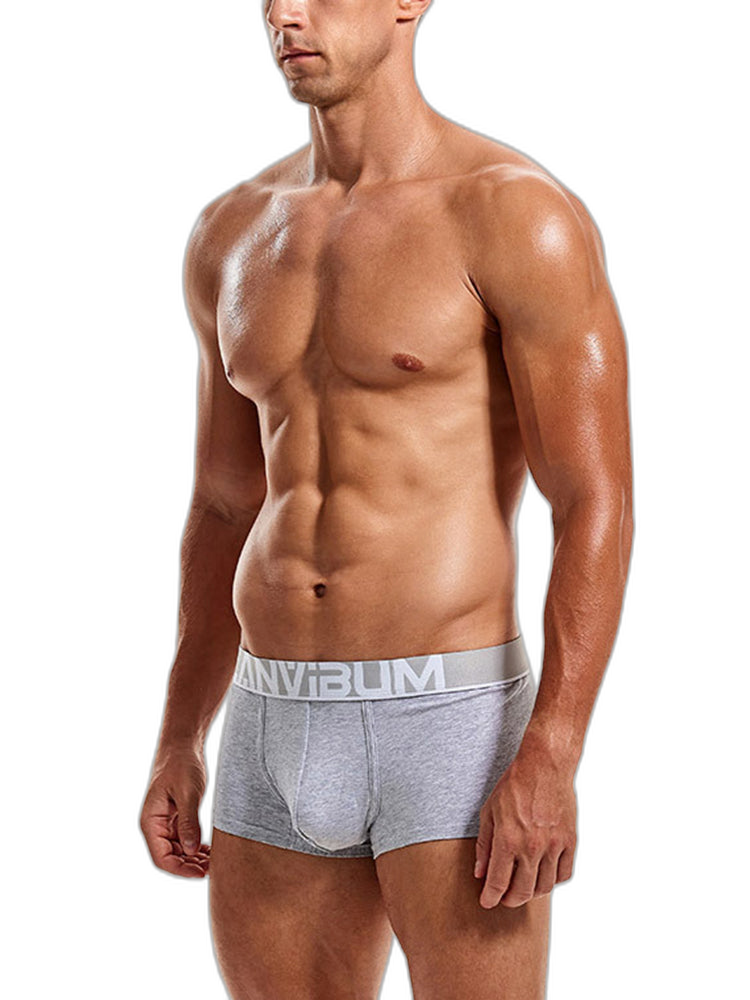 2 Pack Men's Breathable Big Pouch Trunks