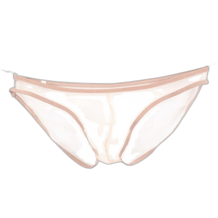 Caught In The Act Men's Mesh Briefs