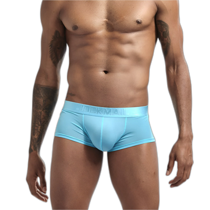 Transparent Silky Boxer Briefs