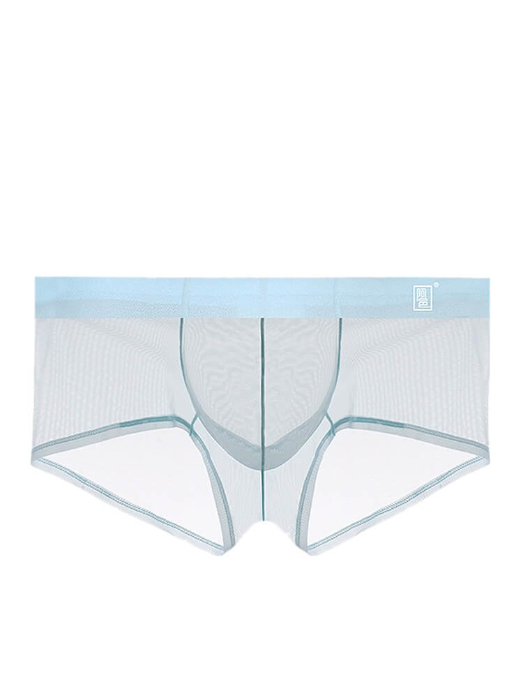 Men's Sexy Mesh U-Convex Pouch Boxer Briefs