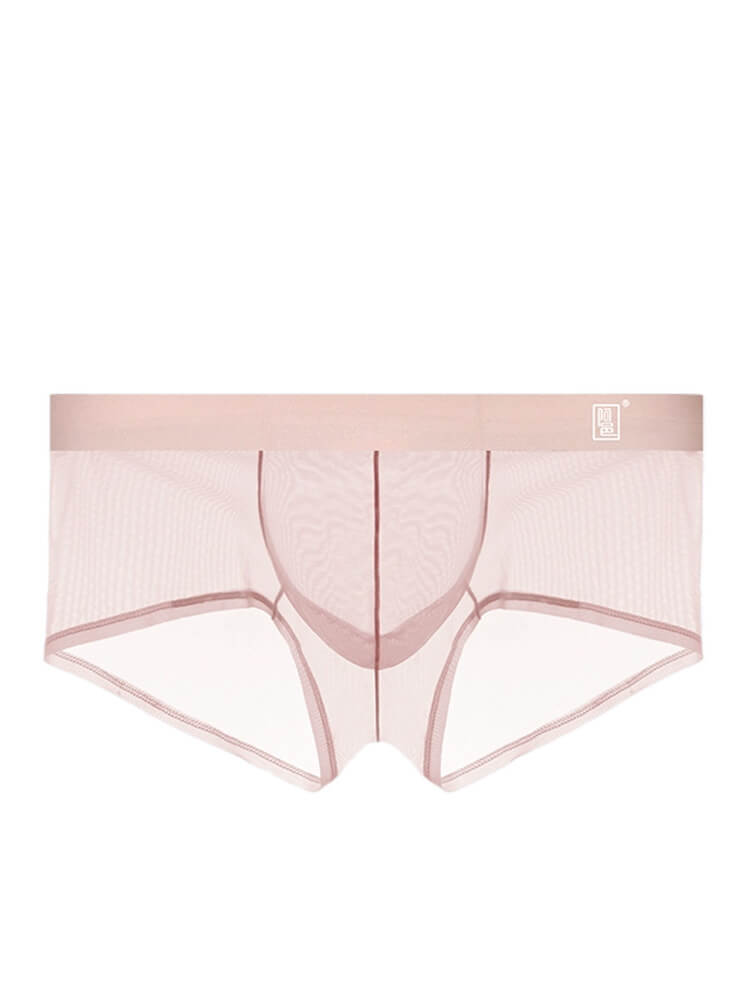 Men's Sexy Mesh U-Convex Pouch Boxer Briefs