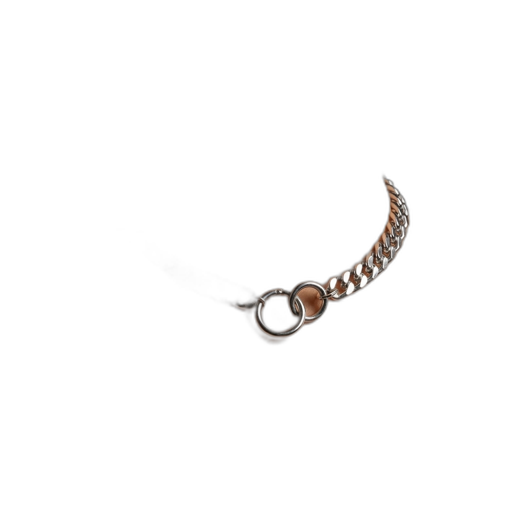 Double Hoop Choker