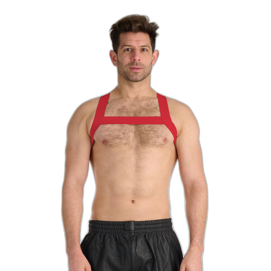 Prowler RED Sports Harness Red
