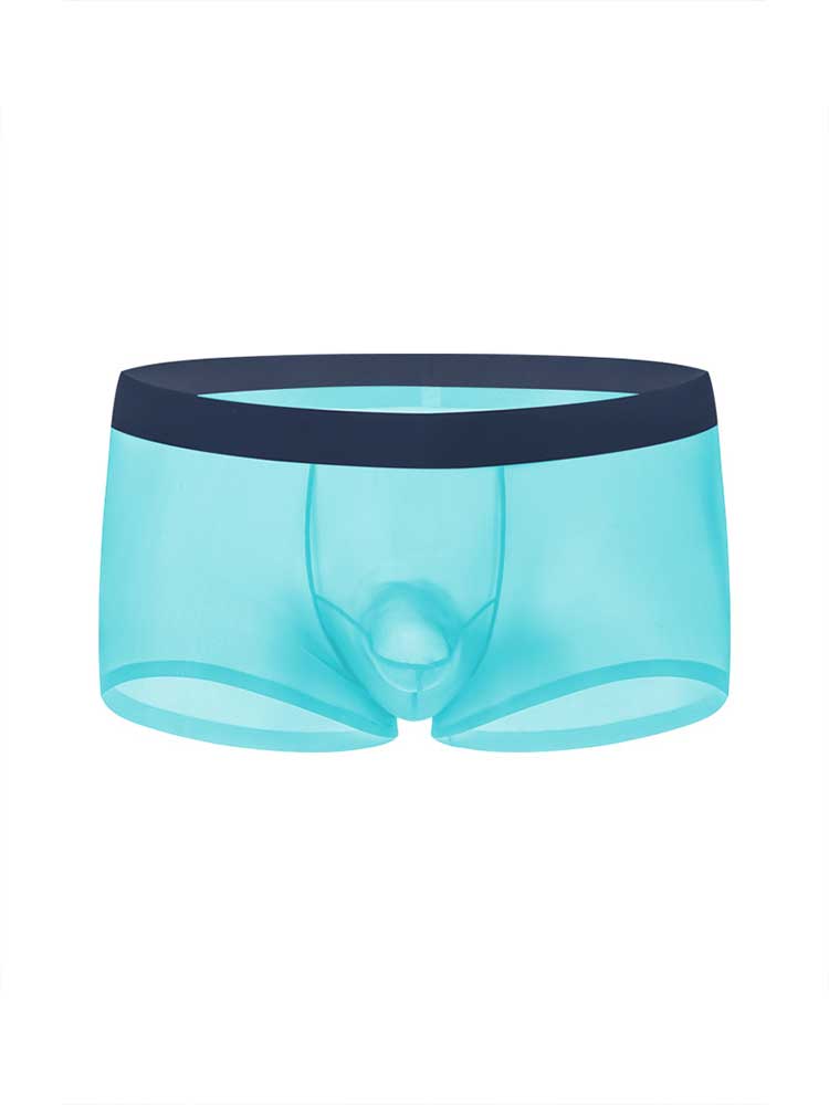 Men's Sexy Seamless Sheer Ice Silk Boxer Briefs