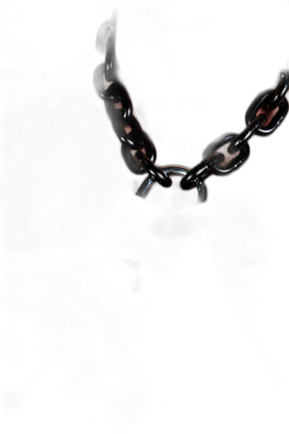 ruff GEAR Pitbull Chain 8mm with 60mm Master Lock Black