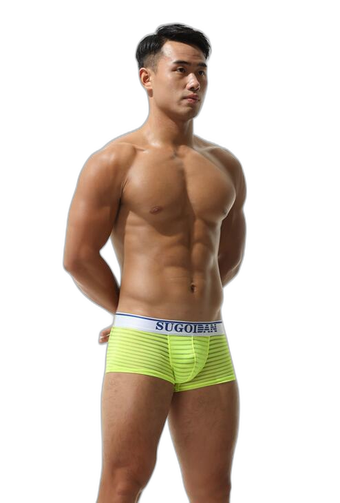 Men's Sexy Transparent Striped Trunks