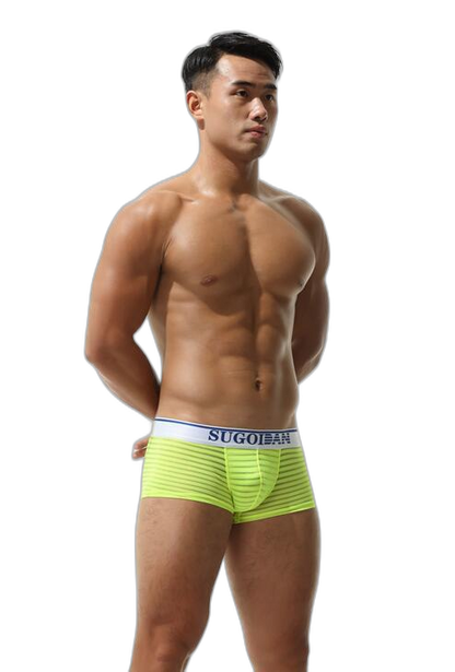 Men's Sexy Transparent Striped Trunks