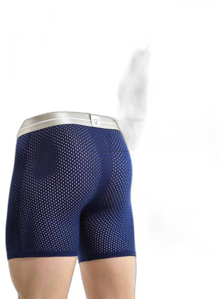 2 Pack Mesh Ice Silk Moisture Wicking Sport Boxer Underwear