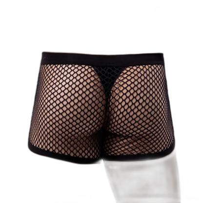 AllureFit Sexy Mesh Boxers Briefs