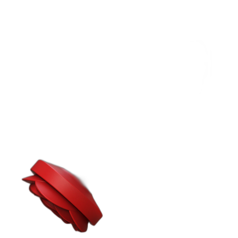 Rose - Silicone Anal Training Kit