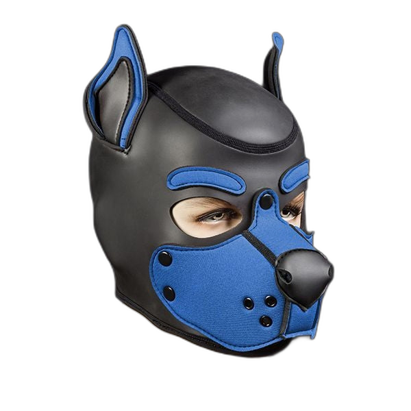 Mr S Leather Neoprene K9 Puppy Hood | Black/Cobalt