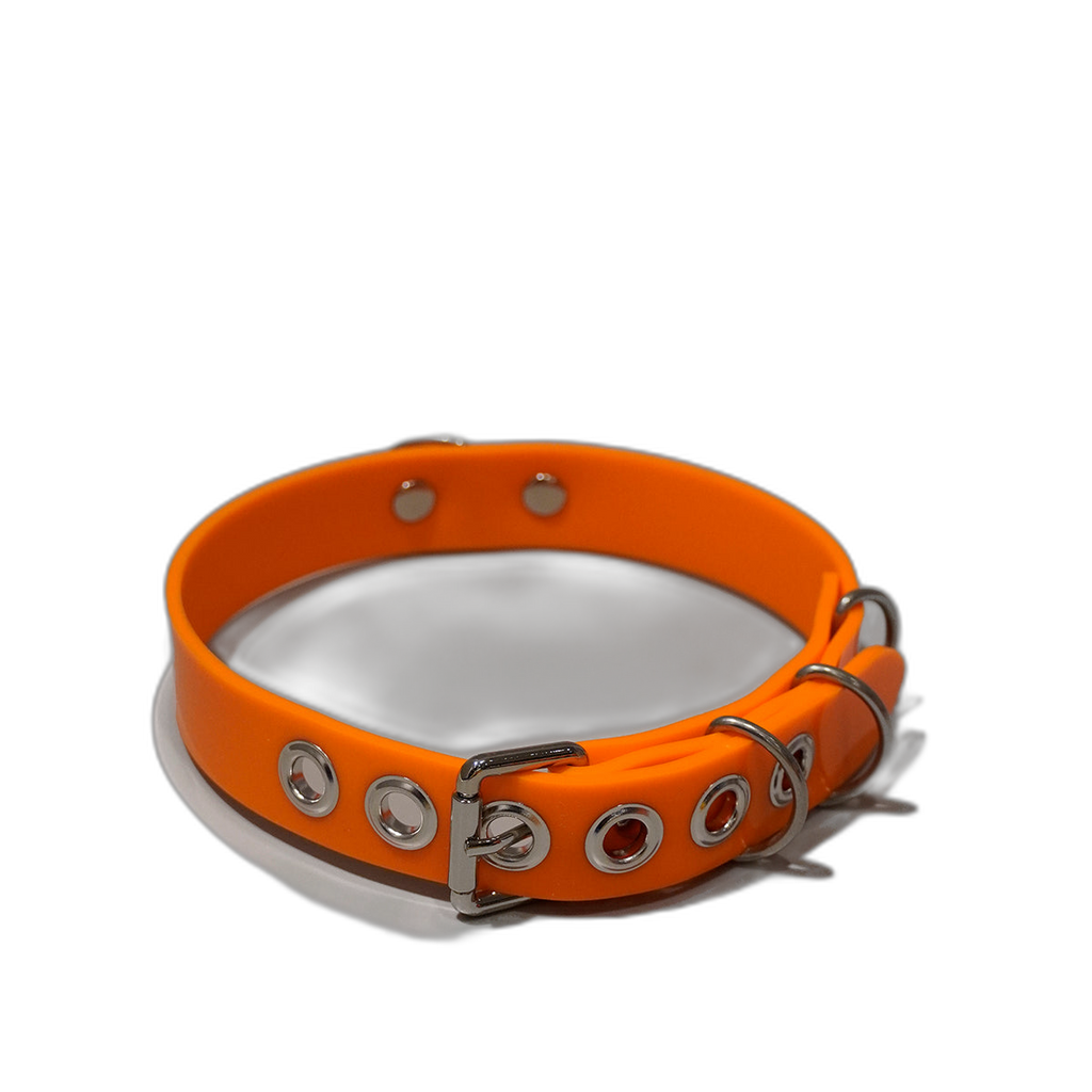 Multi-D Buckle Style Silicone Collar