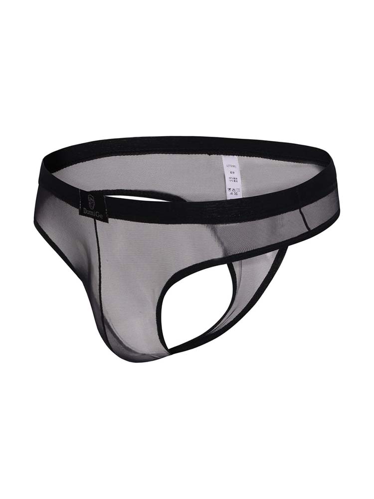 Men's Low Rise Mesh Bikini Thong